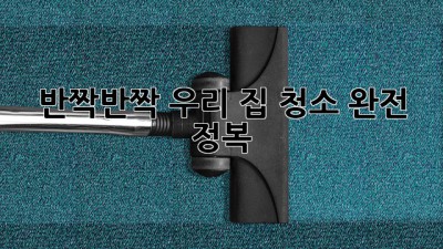 ✨ 반짝반짝 우리 집, 청소 완전 정복! 🏡