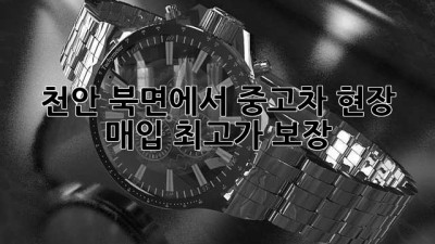천안 북면에서 중고차 현장 매입, 최고가 보장!