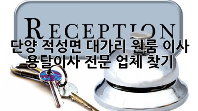 단양 적성면 대가리 원룸 이사, 용달이사 전문 업체 찾기